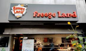 New Freeze Land - Sola